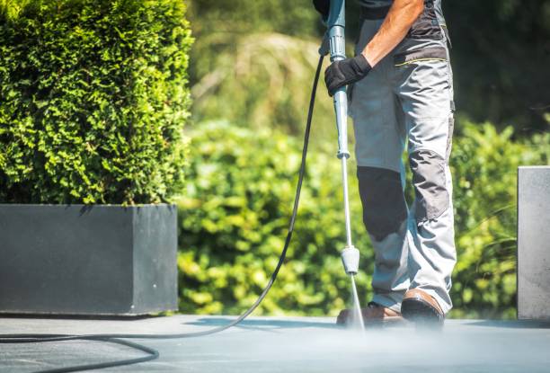 Best Parking Lot Cleaning in Hamburg, IA