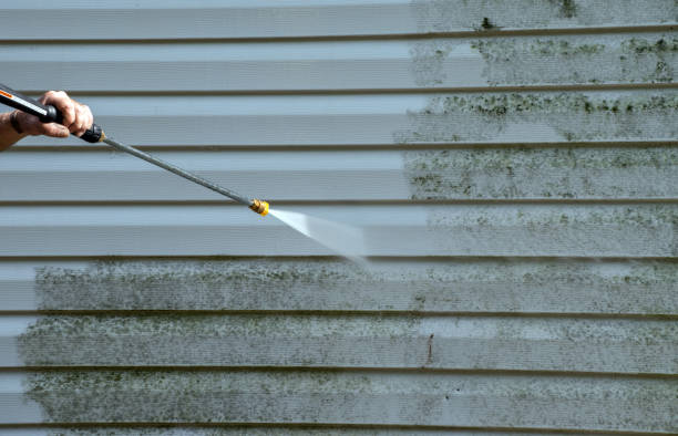 Professional Pressure Washing Services in Hamburg, IA