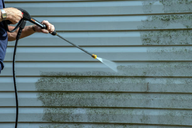 Best Vinyl Siding Pressure Washing in Hamburg, IA